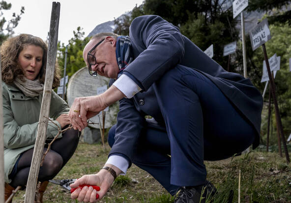 Martin Pfister et Matthias Bellwald sur la vigne à Farinet
