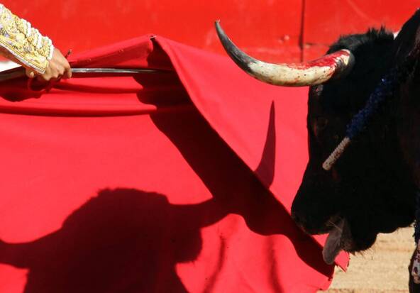 Un ancien matador mortellement encorné avant une corrida