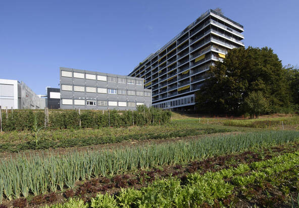 Genève célèbre l'agriculture urbaine pendant 48 heures