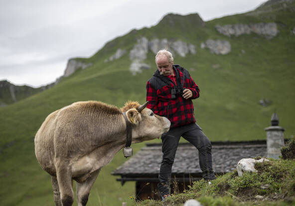Une étude explique le manque de personnel dans les alpages
