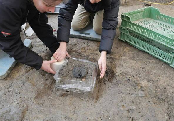 Pain plat romain trouvé lors de fouilles à Windisch (AG)