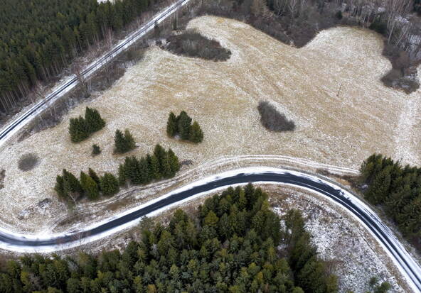 Une femme de 58 ans tuée par un ours en Pologne