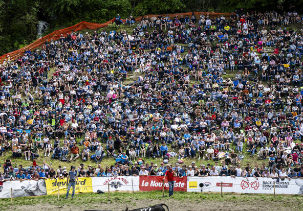 Combats de reines: le Haut-Valais organise la Finale nationale