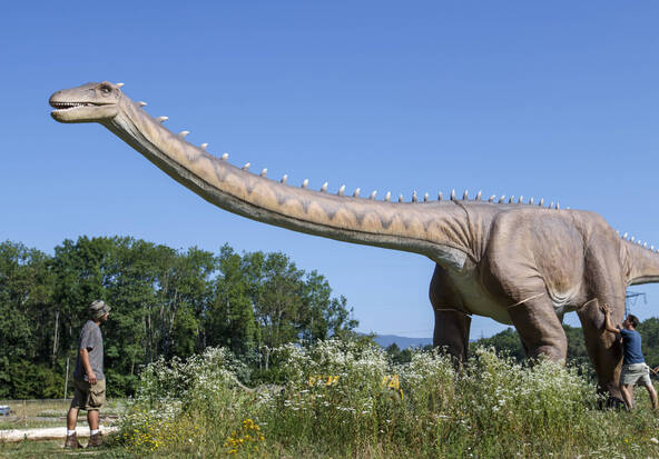 Un nouveau dinosaure géant identifié en Thaïlande: le nagatitan