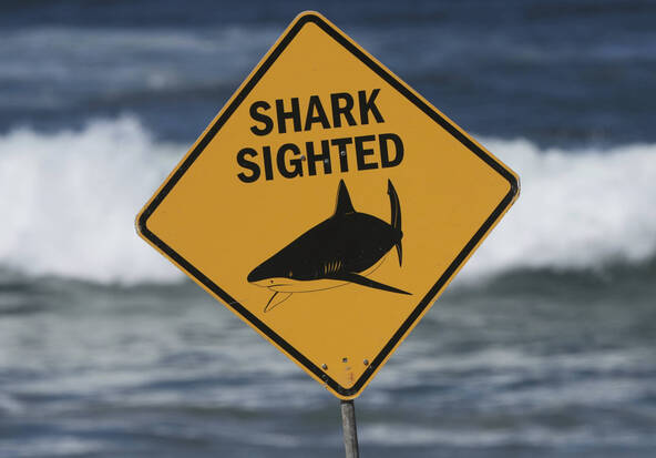 Australie: homme dans un état critique après une attaque de requin