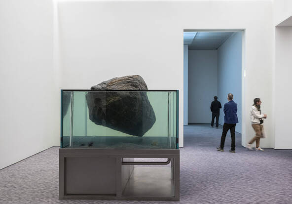 L'univers éphémère de Pierre Huyghe à la Fondation Beyeler