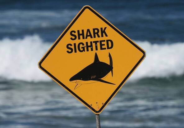 Un homme meurt après une attaque de requin dans le Queensland (AUS)