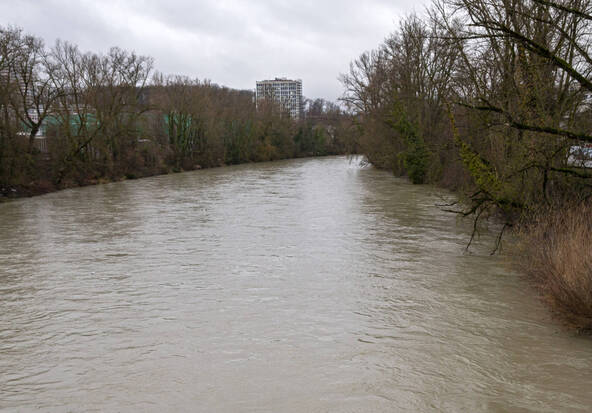 Les oeuvres d'Eric Alibert sur l'Arve au Musée de Carouge (GE)