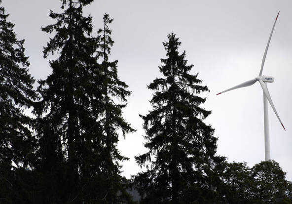 Les associations environnementales contre le blocage de l'éolien