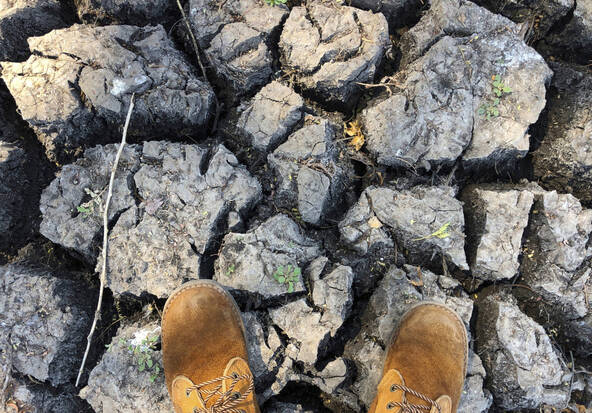 El Niño de retour dans le Pacifique, risques météo extrêmes à venir