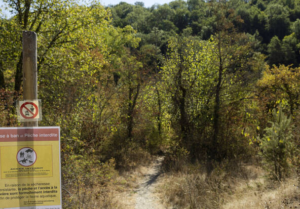 Le degré de la menace d'incendie en forêt relevé à 3 sur 5 à Genève