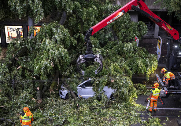 Violents orages: des blessés suite à la chute d'arbres à Zurich