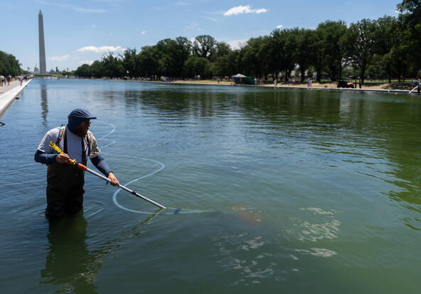 La rénovation d'un bassin cher à Trump prend l'eau