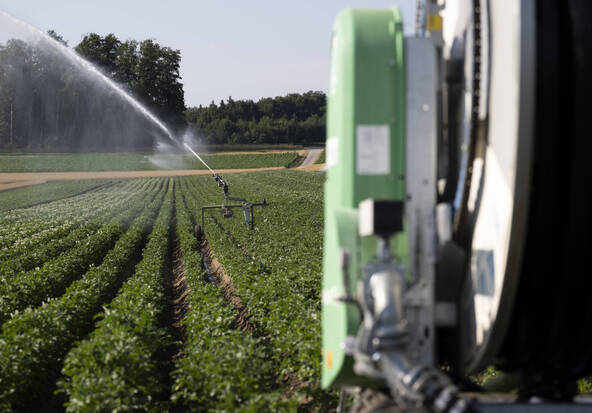 Les agriculteurs face au défi de la canicule