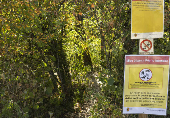 Le degré de la menace d'incendie en forêt passe à 4 sur 5 à Genève