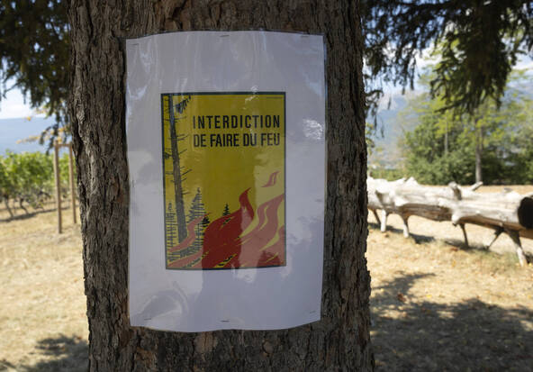 Genève interdit totalement les feux en forêt