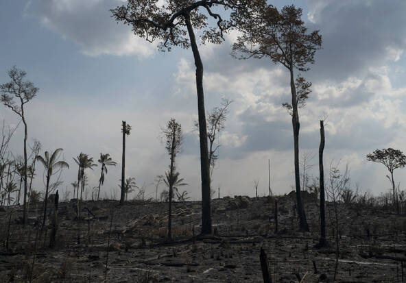 Brésil: la déforestation en Amazonie au plus bas au 1er semestre