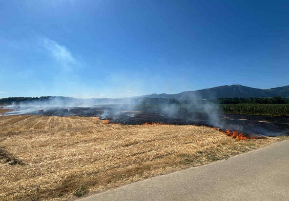 Champ de chaume en feu à Deitingen (SO): 200 ares en fumée