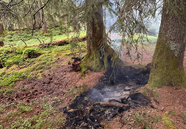 Début de feu de forêt éteint mercredi près d'Innerthal (SZ)
