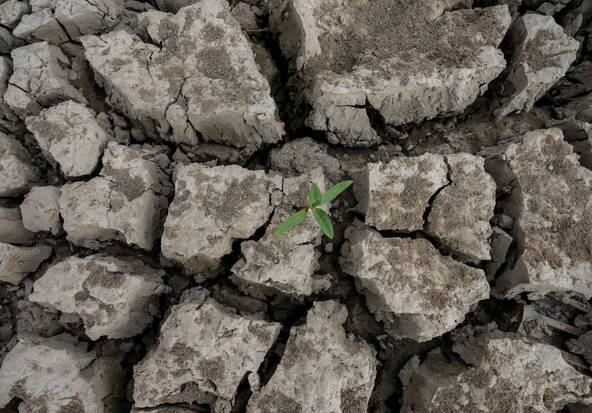 Le changement climatique, un facteur aggravant des sécheresses