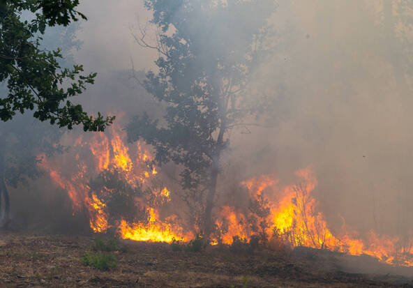 Incendies en France: nouvelles évacuations près de Bordeaux