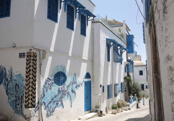 Le village de Sidi Bou Saïd, en Tunisie, inscrit à l'Unesco