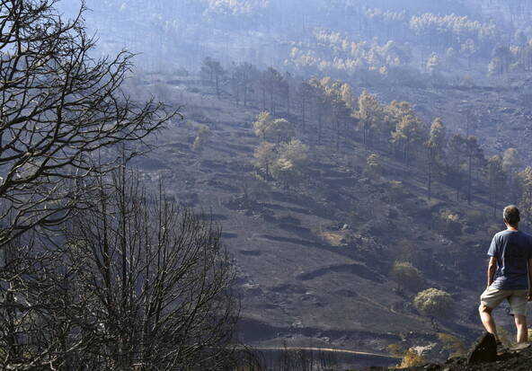 Incendies en Espagne: fin des évacuations pour la province d'Ávila