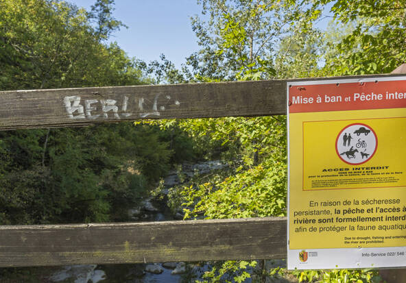 Mise à ban d'un tronçon de l'Allondon à cause de la sécheresse