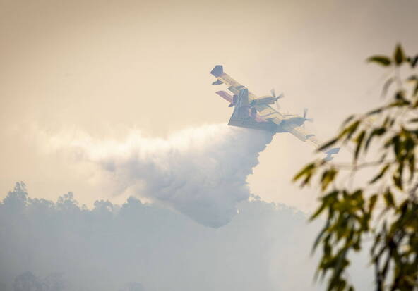 Incendie de forêt en Andalousie: 4000 hectares touchés