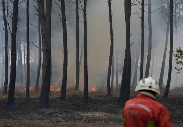 Un incendie ravage 1100 hectares dans le sud-ouest de la France