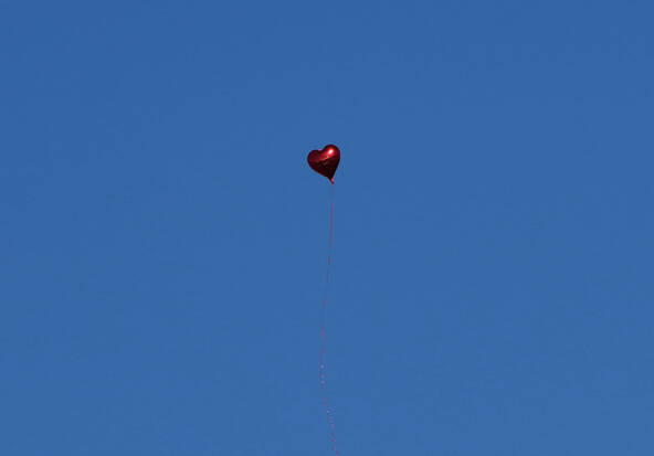 De Berlin à Bialowieza, un petit ballon parcourt 900 kilomètres