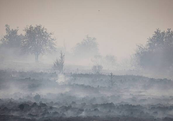 Incendie en Belgique: une ville allemande partiellement évacuée
