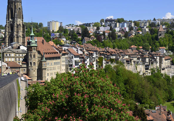 Fribourg: 23 mesures pour renforcer l’action climatique de l'Etat