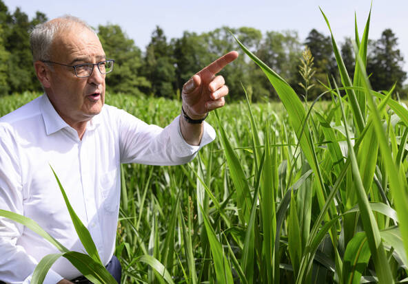 Manque de fourrage: Guy Parmelin visite une exploitation vaudoise