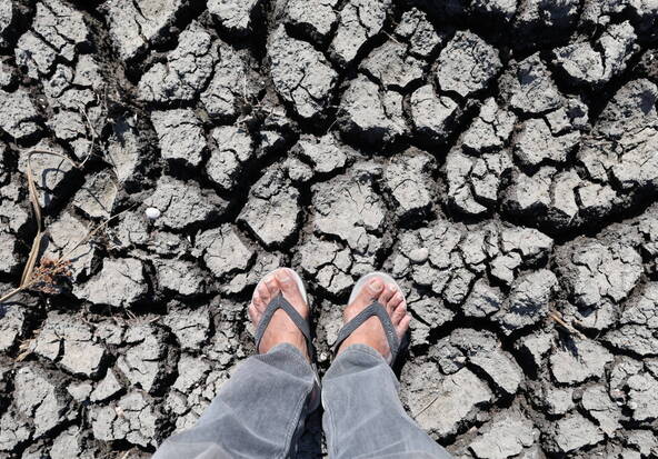 L'étude des coraux montre qu'El Niño s'intensifie avec le climat