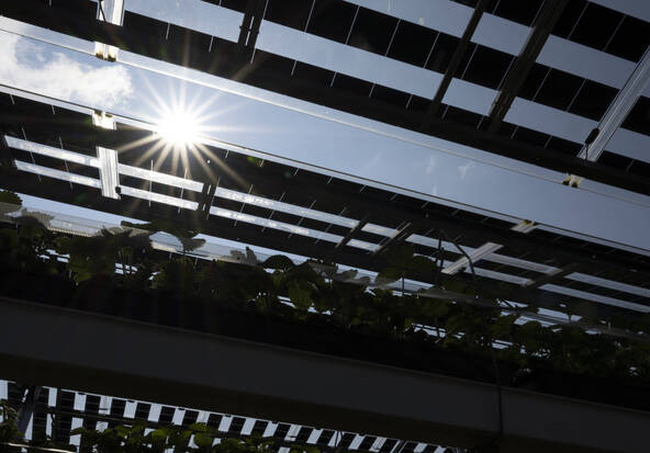 Les mesures pour la protection du climat séduisent les Suisses
