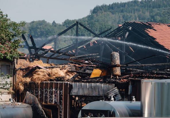 Environ 250 bovins périssent dans un incendie à Palézieux