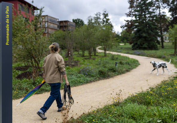 Une nouvelle « promenade de la paix » dans la Genève internationale