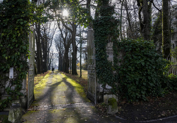 La Ville de Genève veut ouvrir le parc Masset en mai 2027