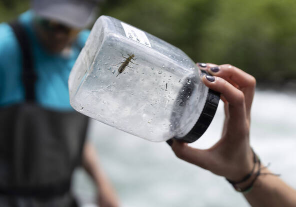 Le projet fédéral sur les PFAS attaqué de plusieurs côtés