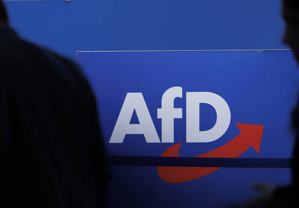 Régionales en Allemagne : l'AfD à nouveau en forte progression