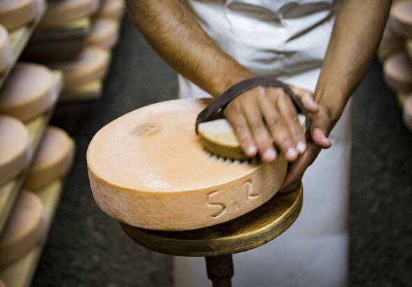Un fromage à raclette vieux de 142 ans sous la loupe