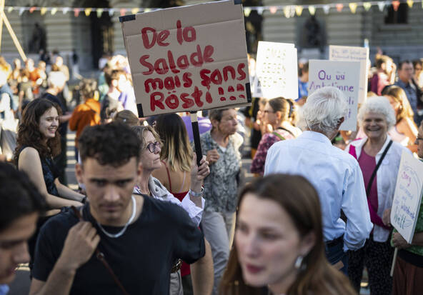 Manifestations pour la protection du climat