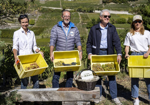 Vigne à Farinet: scientifiques et fonte des glaciers à l'honneur