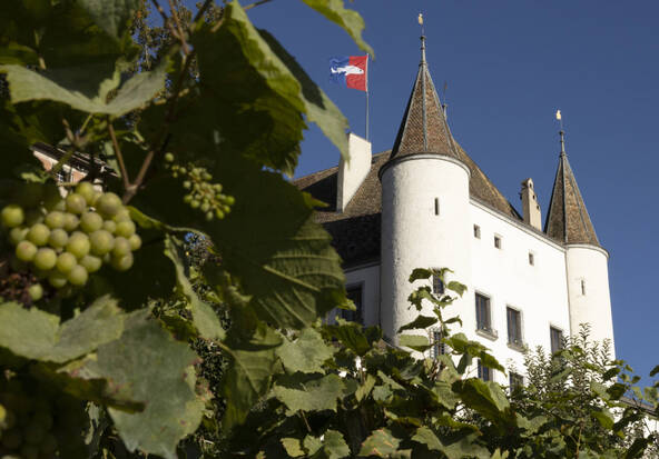La Journée des Châteaux Suisses, un voyage à travers le temps