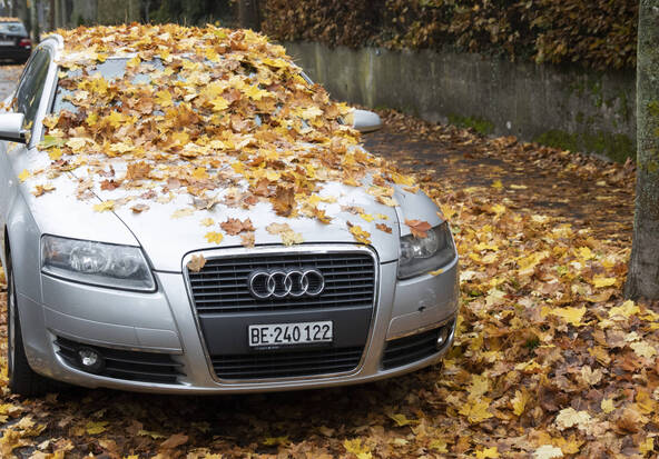 Comment rentrer chez soi sans accident cet automne