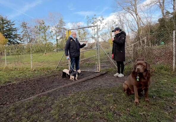 Une pétition pour séparer les petits chiens des gros dans les parcs dédiés