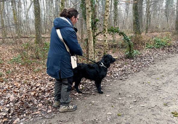 Même en hiver, les tiques restent actives