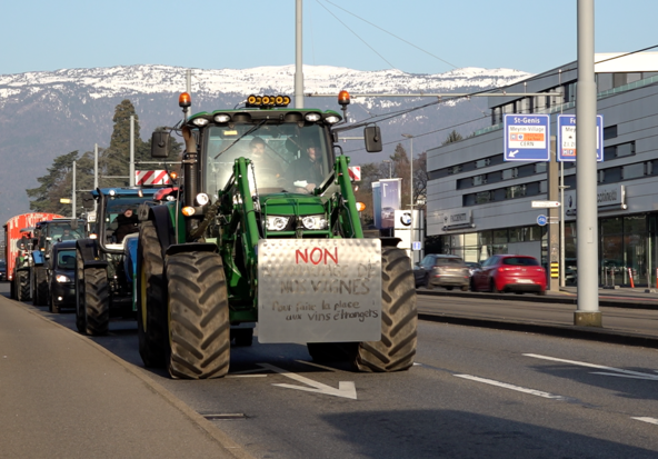 Des vignerons genevois manifestent en tracteur sur les routes