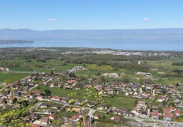 Nouveau coup de frein pour l'A412 entre Thonon et Machilly